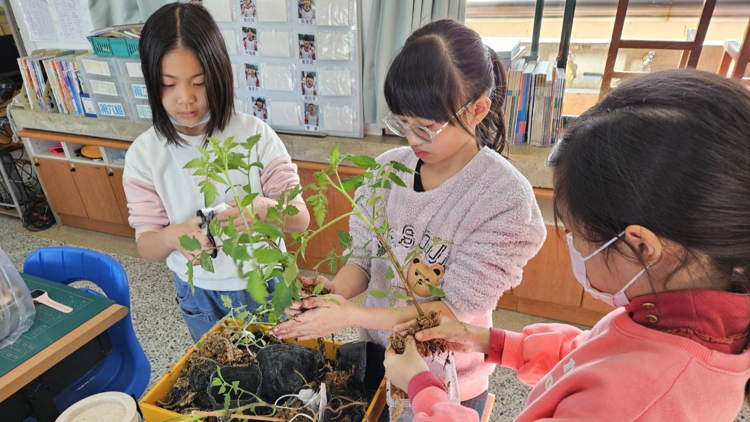 自然與生活